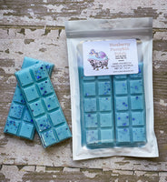 Blueberry Pumpkin Patch - Hand Poured Soy Blend Wax Melts